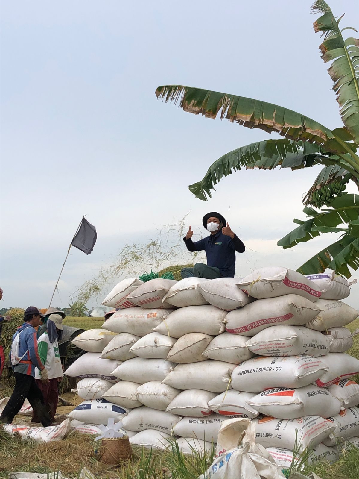 Peningkatan Hasil Panen